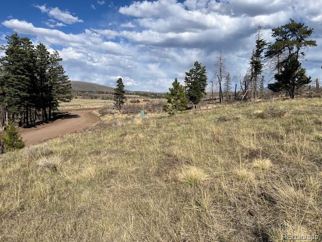 448 Wagon Mesa Loop Fort Garland CO 81133