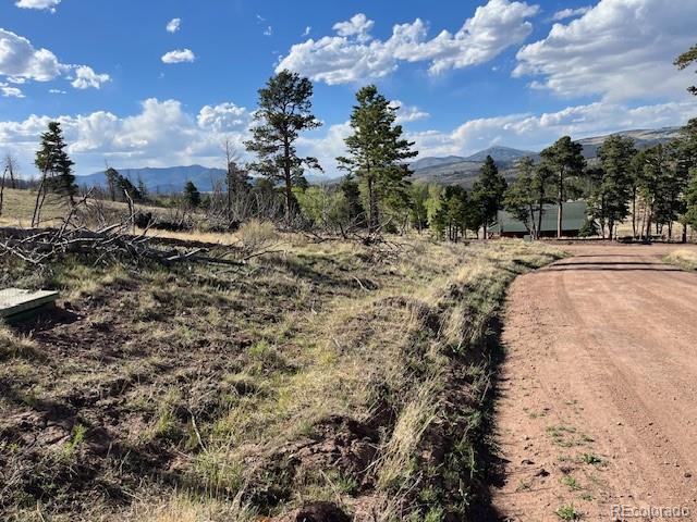 448 Wagon Mesa Loop Fort Garland CO 81133