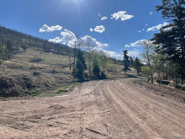 448 Wagon Mesa Loop Fort Garland CO 81133