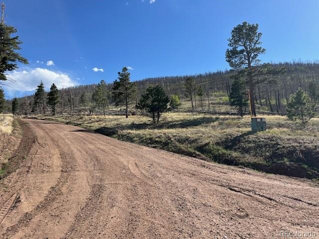 448 Wagon Mesa Loop Fort Garland CO 81133