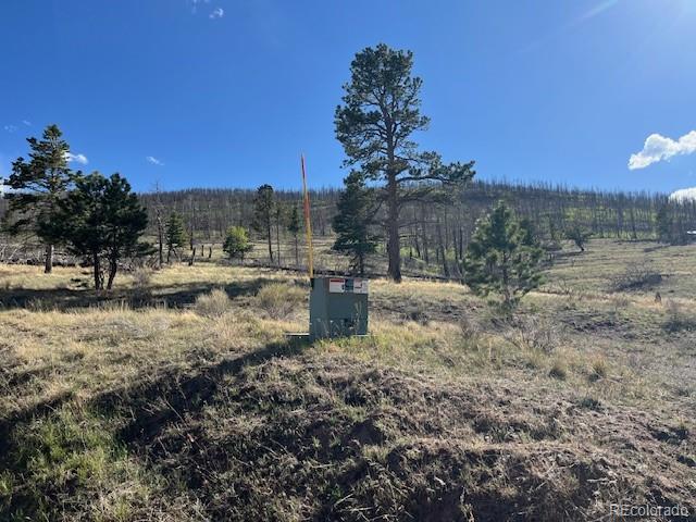 448 Wagon Mesa Loop Fort Garland CO 81133