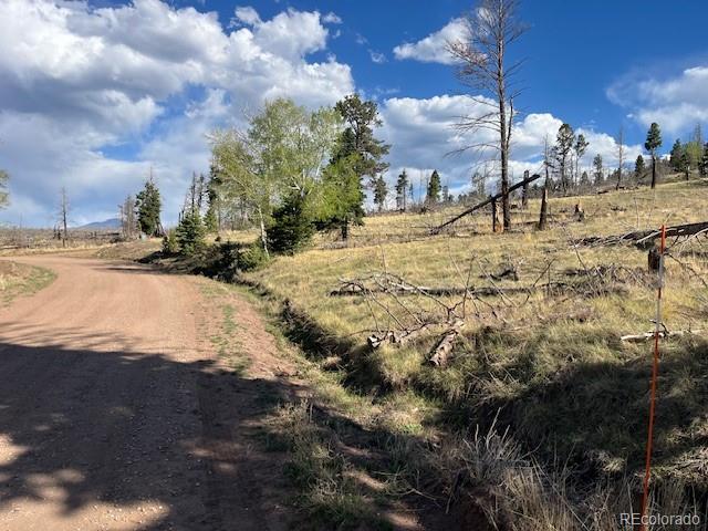 448 Wagon Mesa Loop Fort Garland CO 81133
