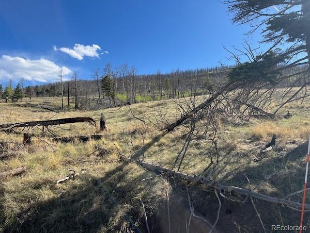 448 Wagon Mesa Loop Fort Garland CO 81133