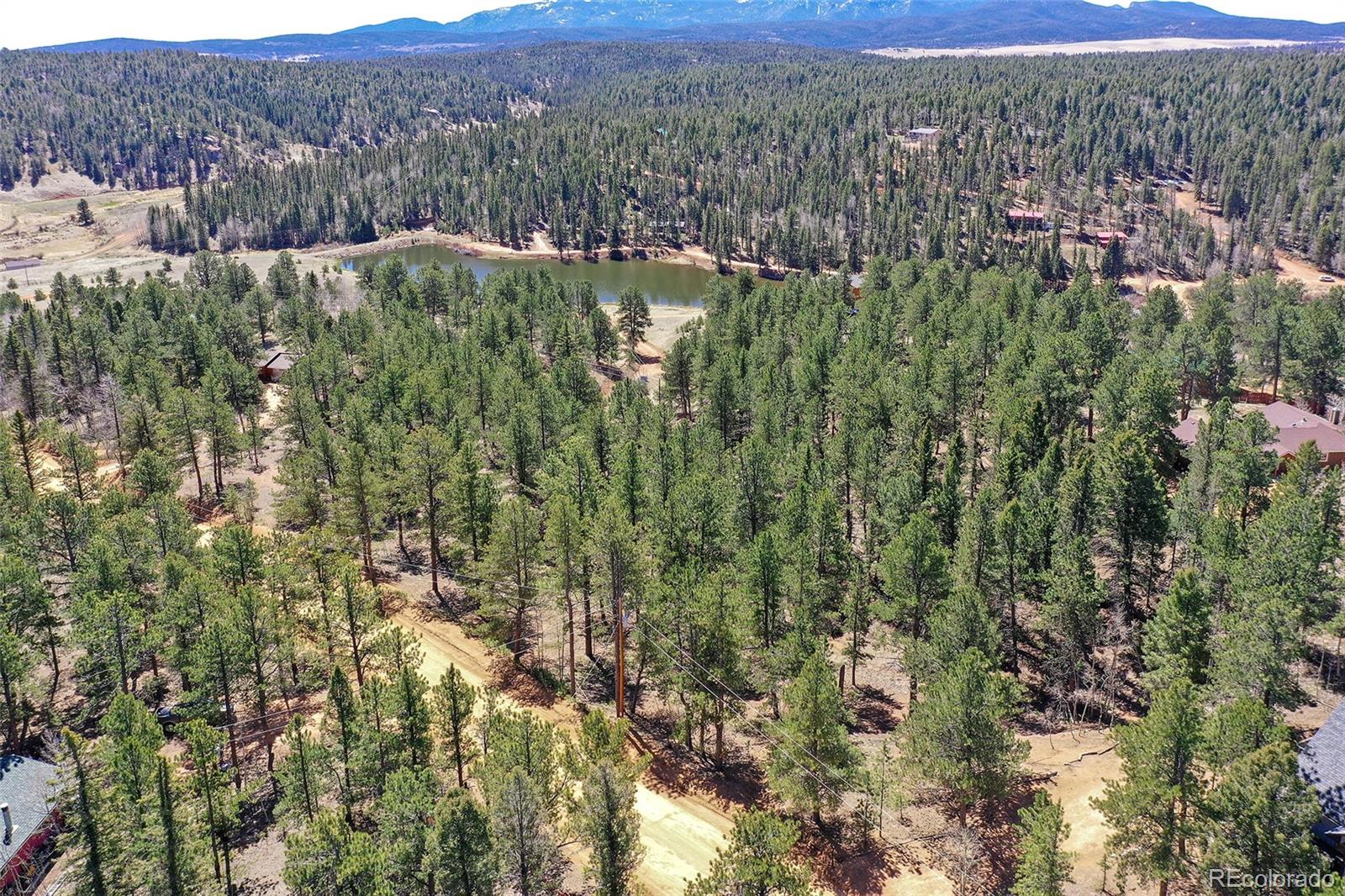860 Spring Valley Drive Divide CO 80814