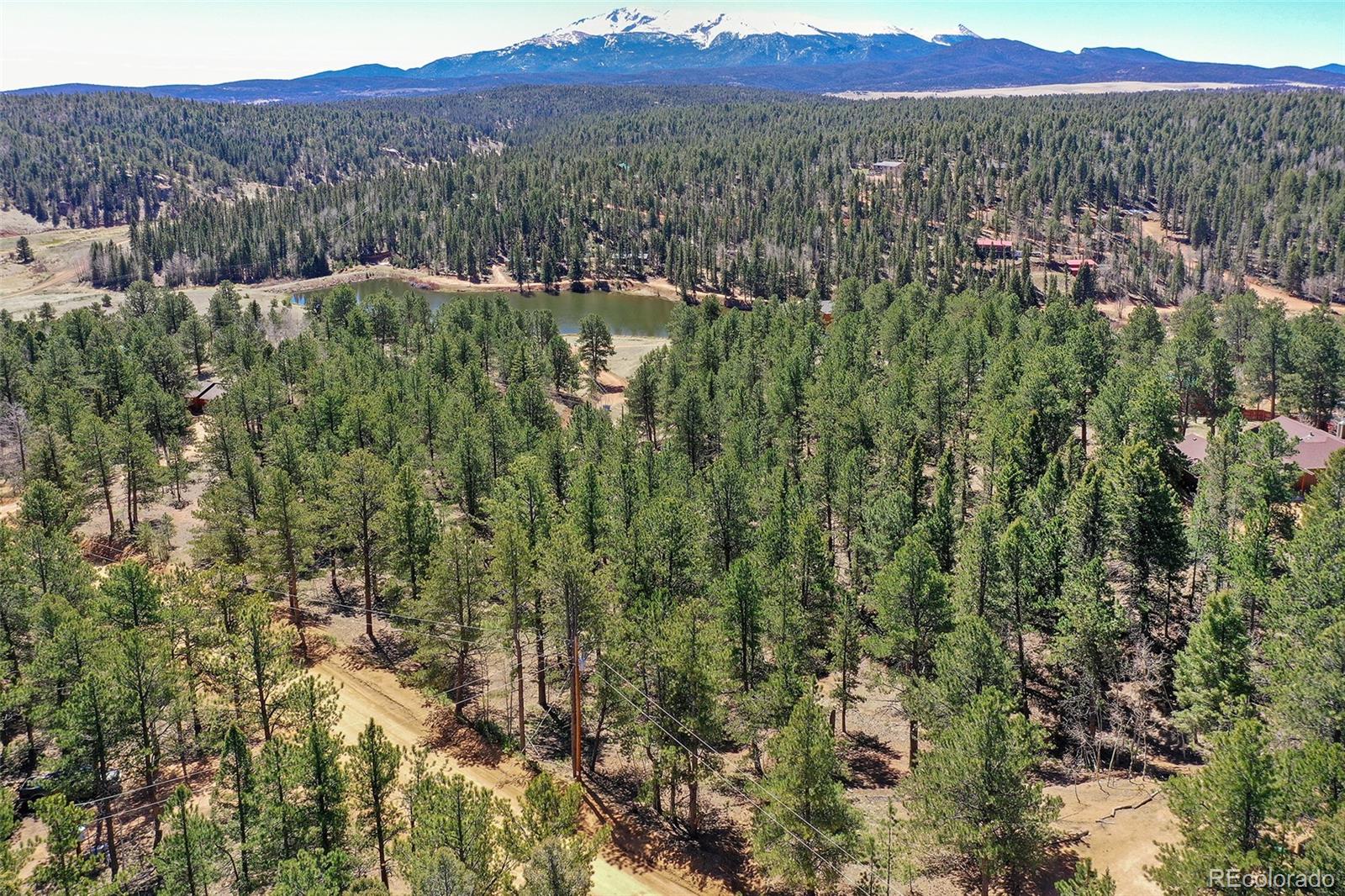 860 Spring Valley Drive Divide CO 80814