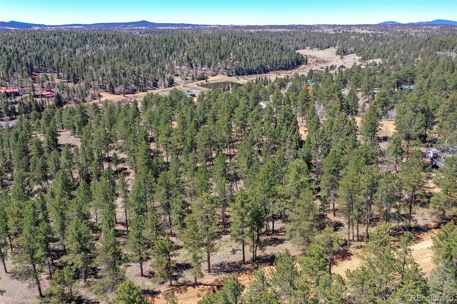 860 Spring Valley Drive Divide CO 80814