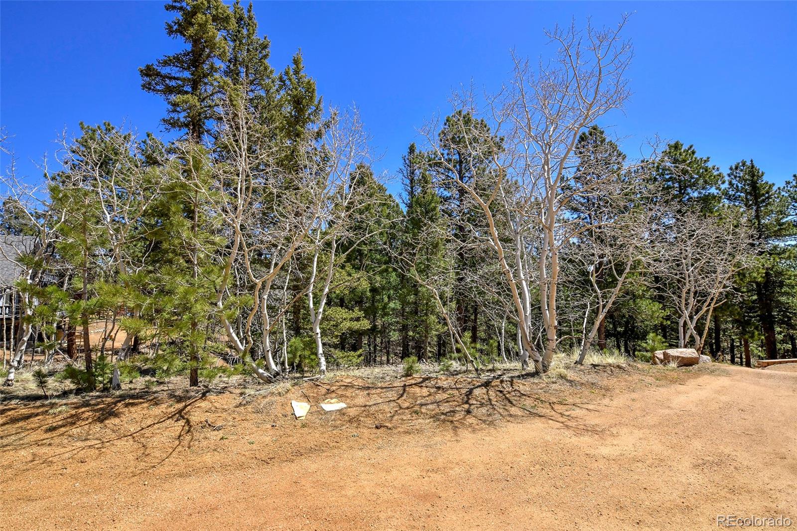860 Spring Valley Drive Divide CO 80814