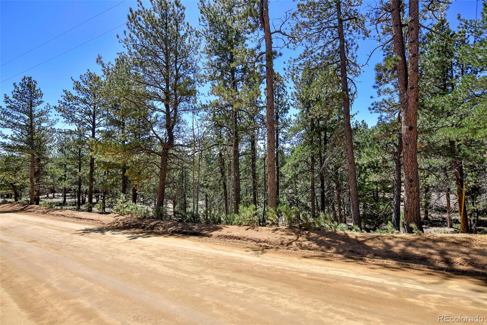 860 Spring Valley Drive Divide CO 80814