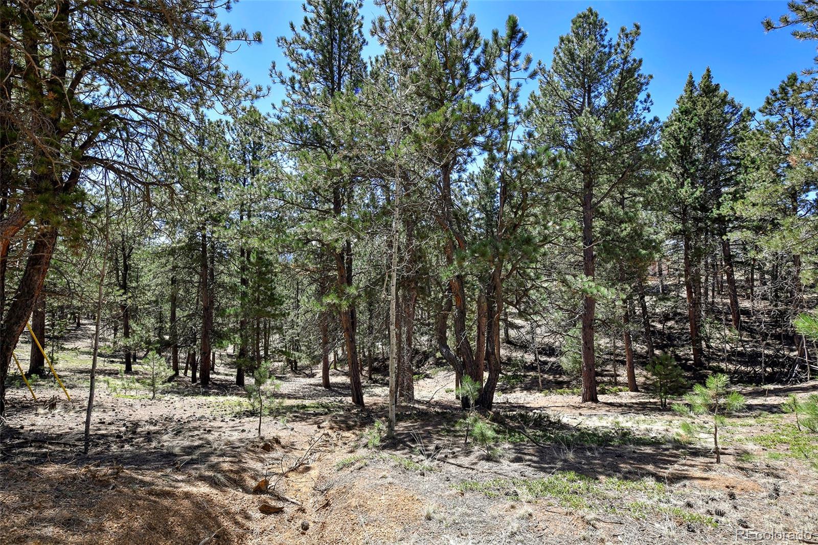 860 Spring Valley Drive Divide CO 80814