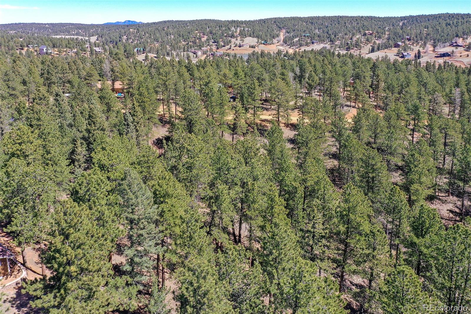 860 Spring Valley Drive Divide CO 80814