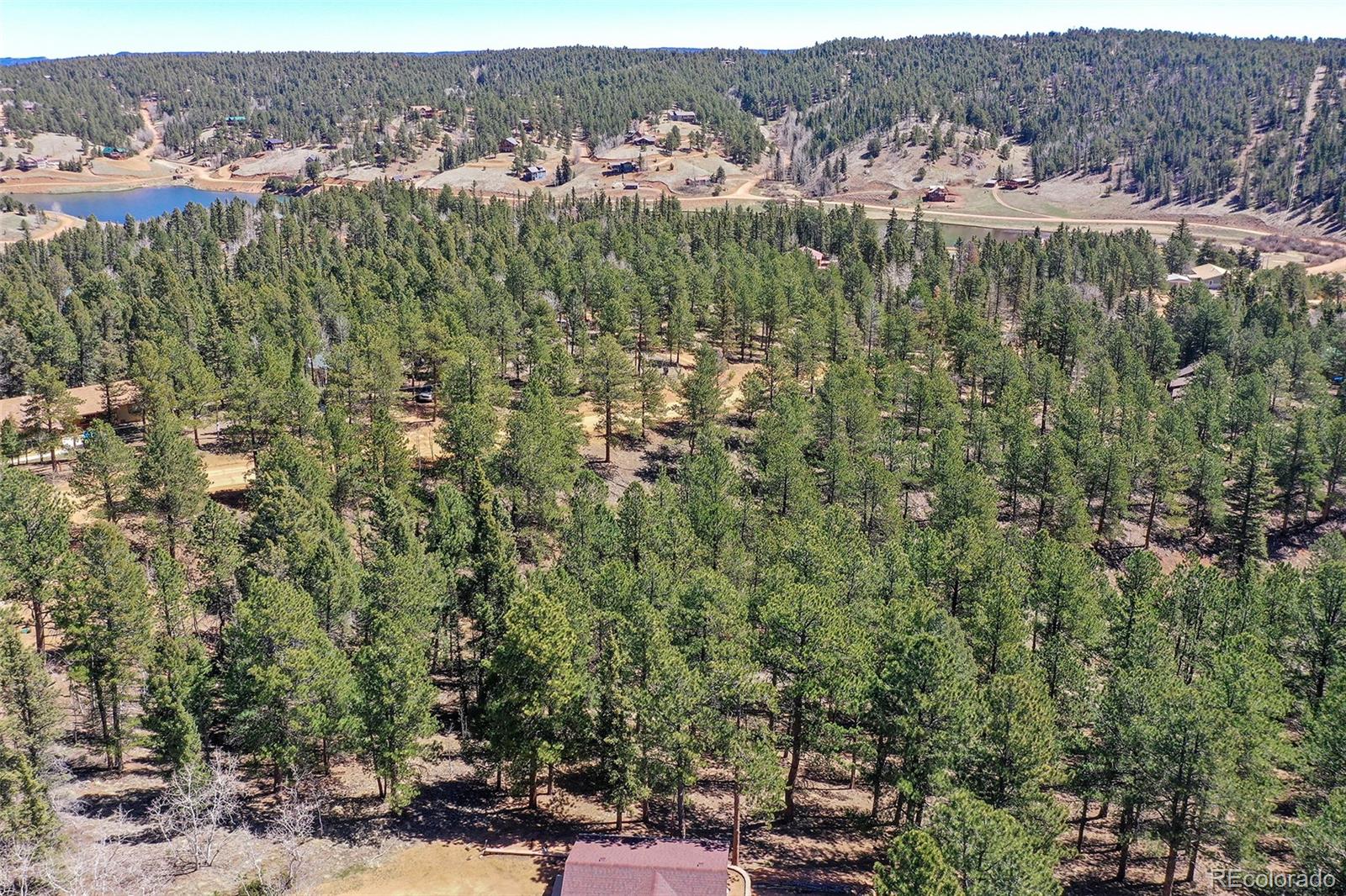 860 Spring Valley Drive Divide CO 80814