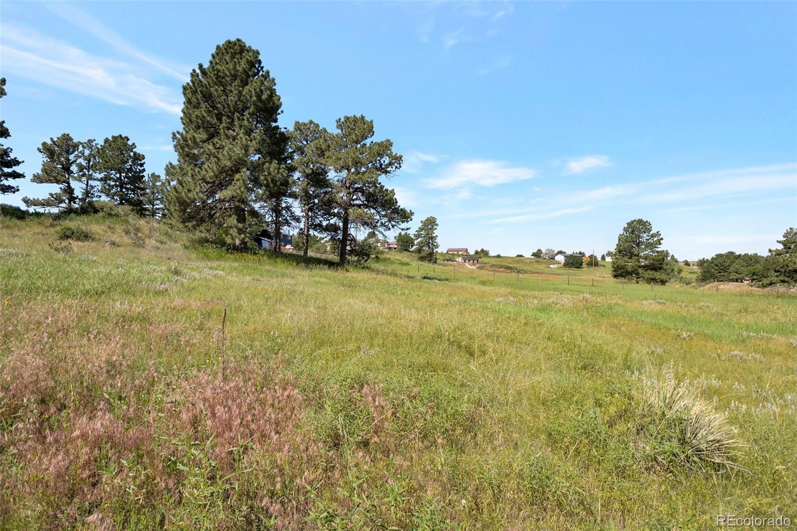 10461 Black Forest Drive Parker CO 80138