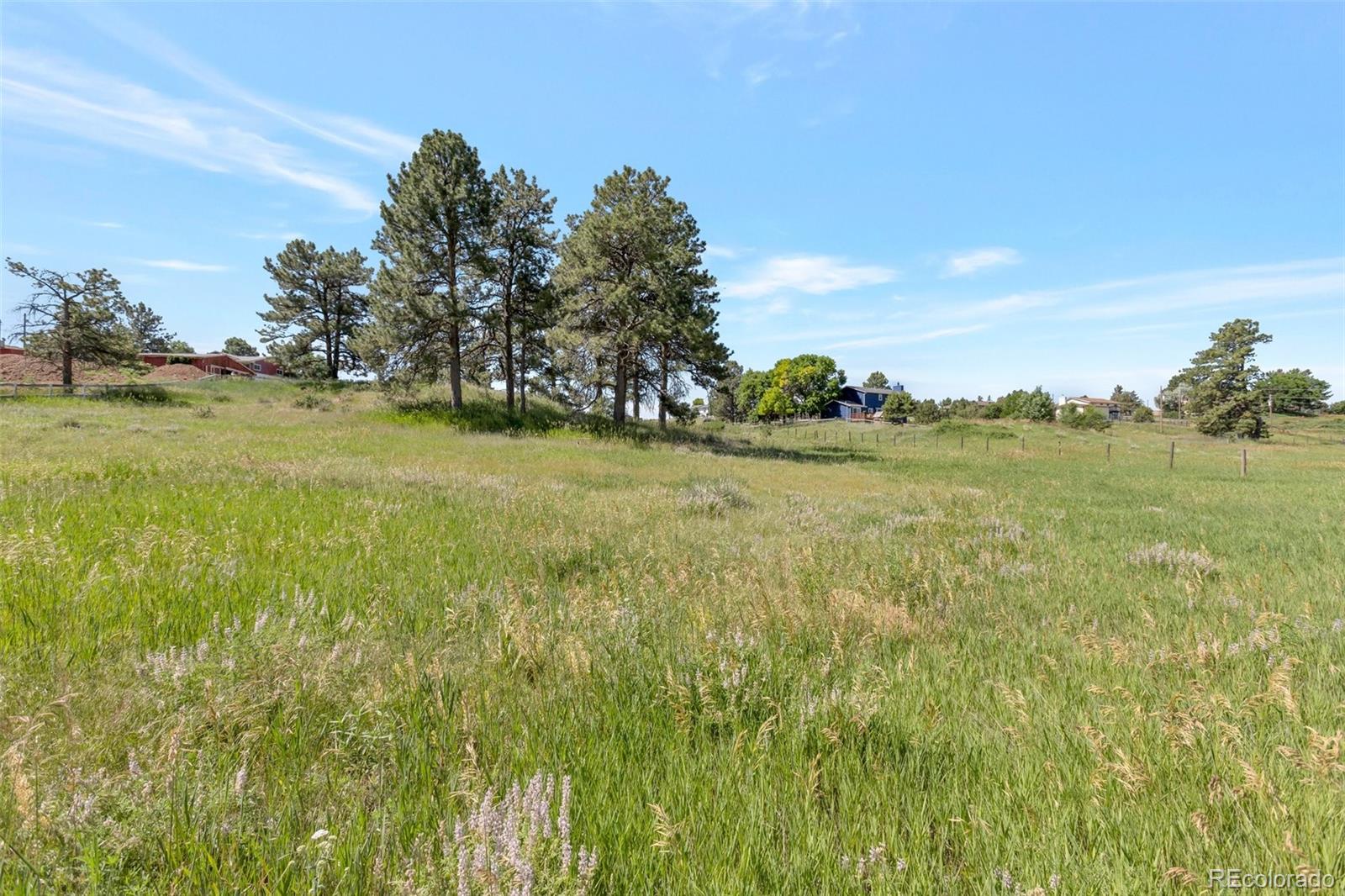10461 Black Forest Drive Parker CO 80138