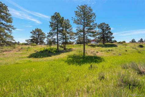 10461 Black Forest Drive Parker CO 80138