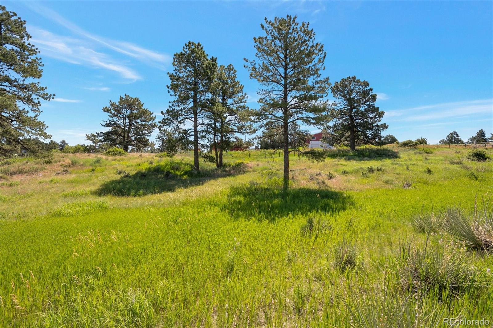 10461 Black Forest Drive Parker CO 80138