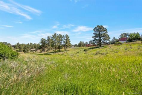 10461 Black Forest Drive Parker CO 80138