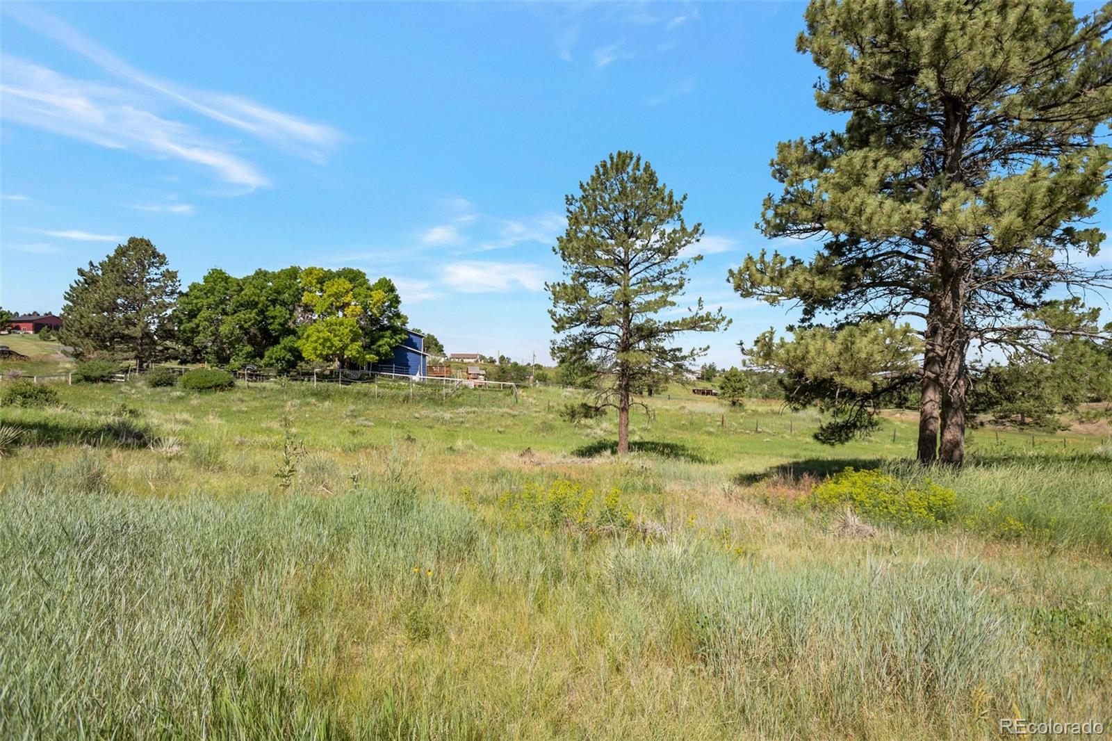 10461 Black Forest Drive Parker CO 80138