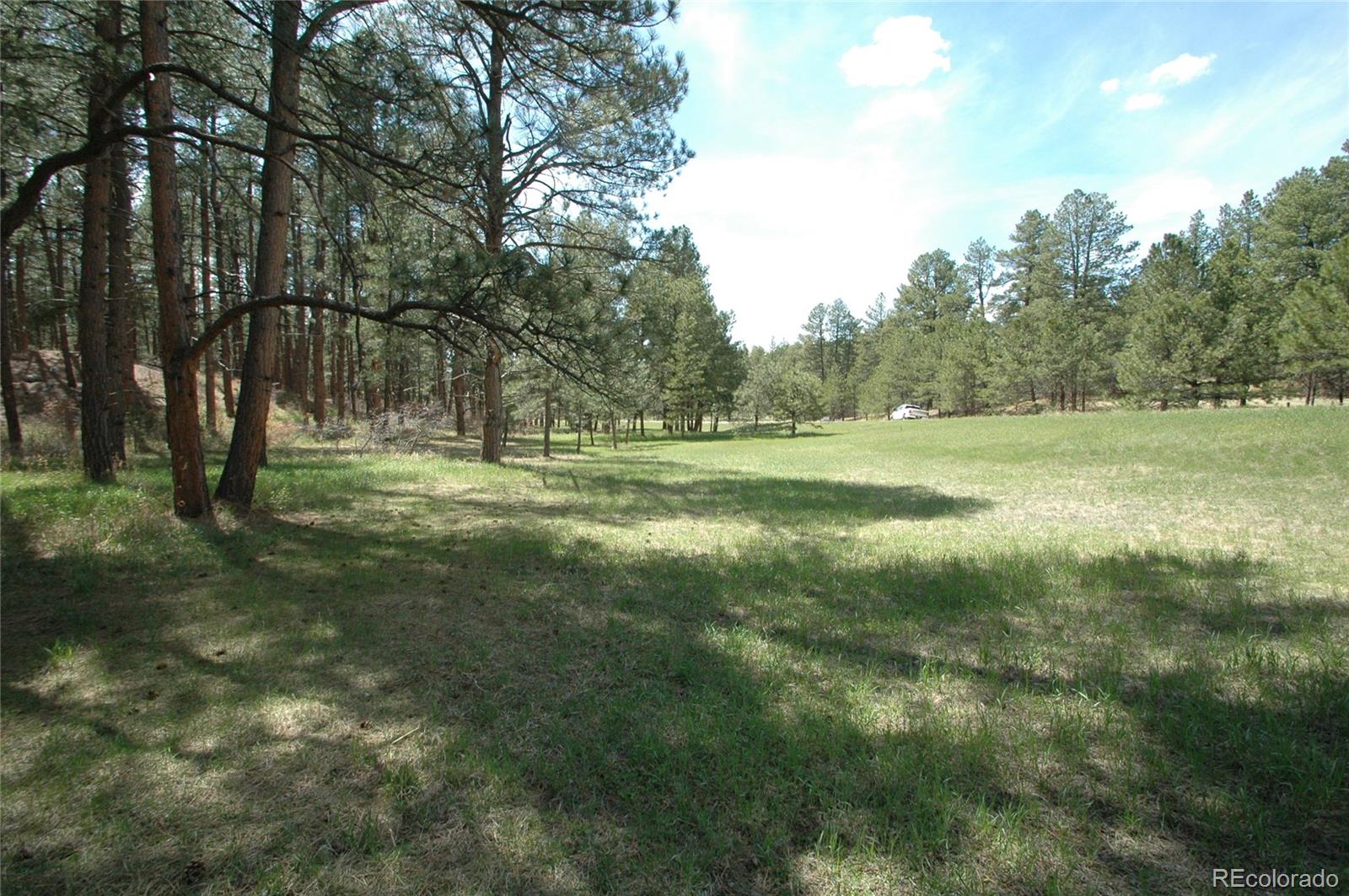 856 Woodridge Road Franktown CO 80116