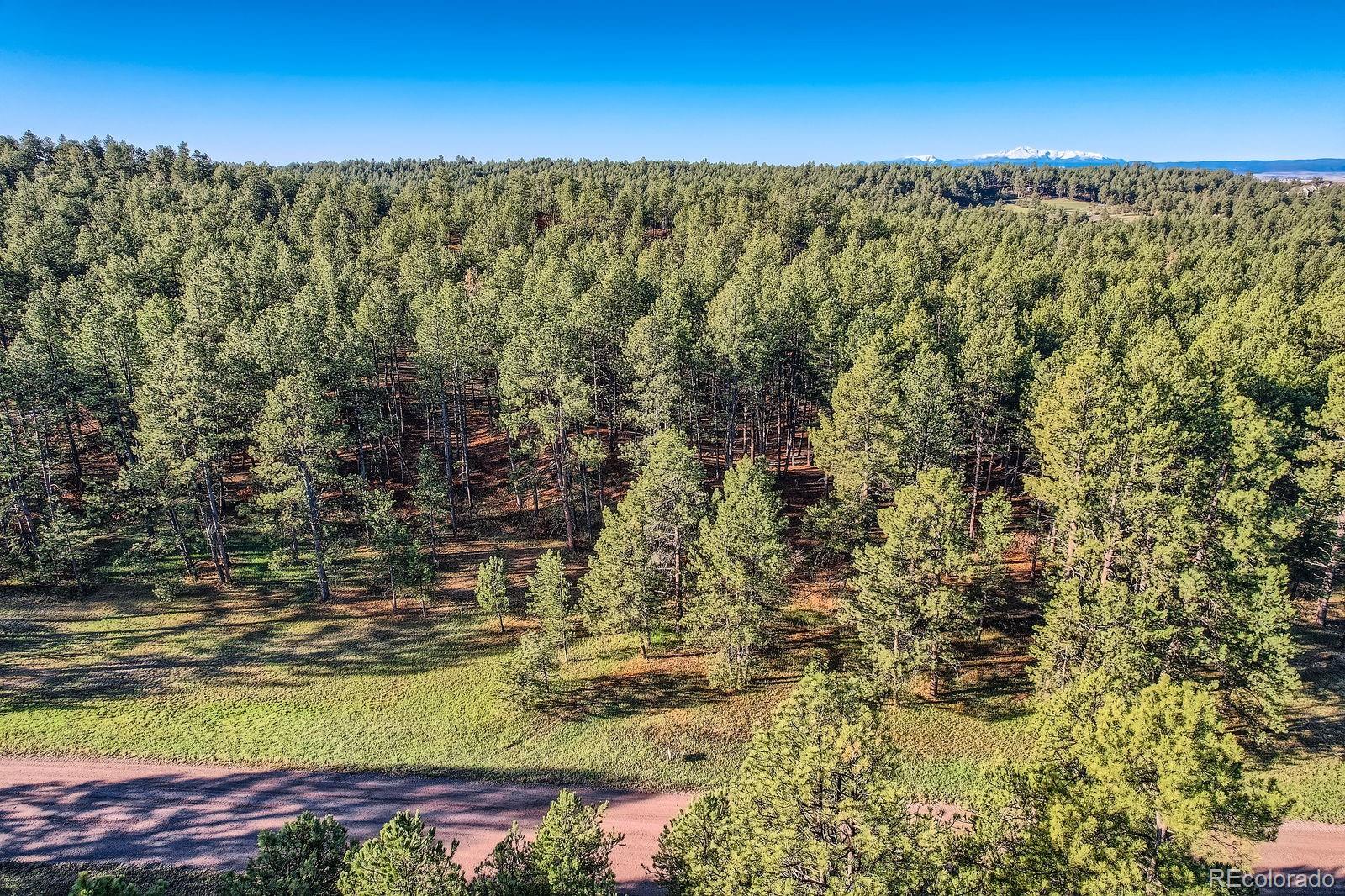 856 Woodridge Road Franktown CO 80116