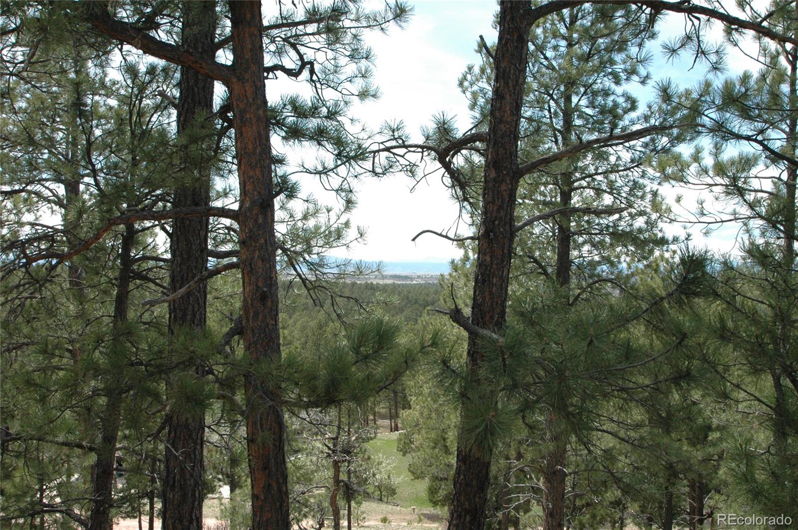 856 Woodridge Road Franktown CO 80116