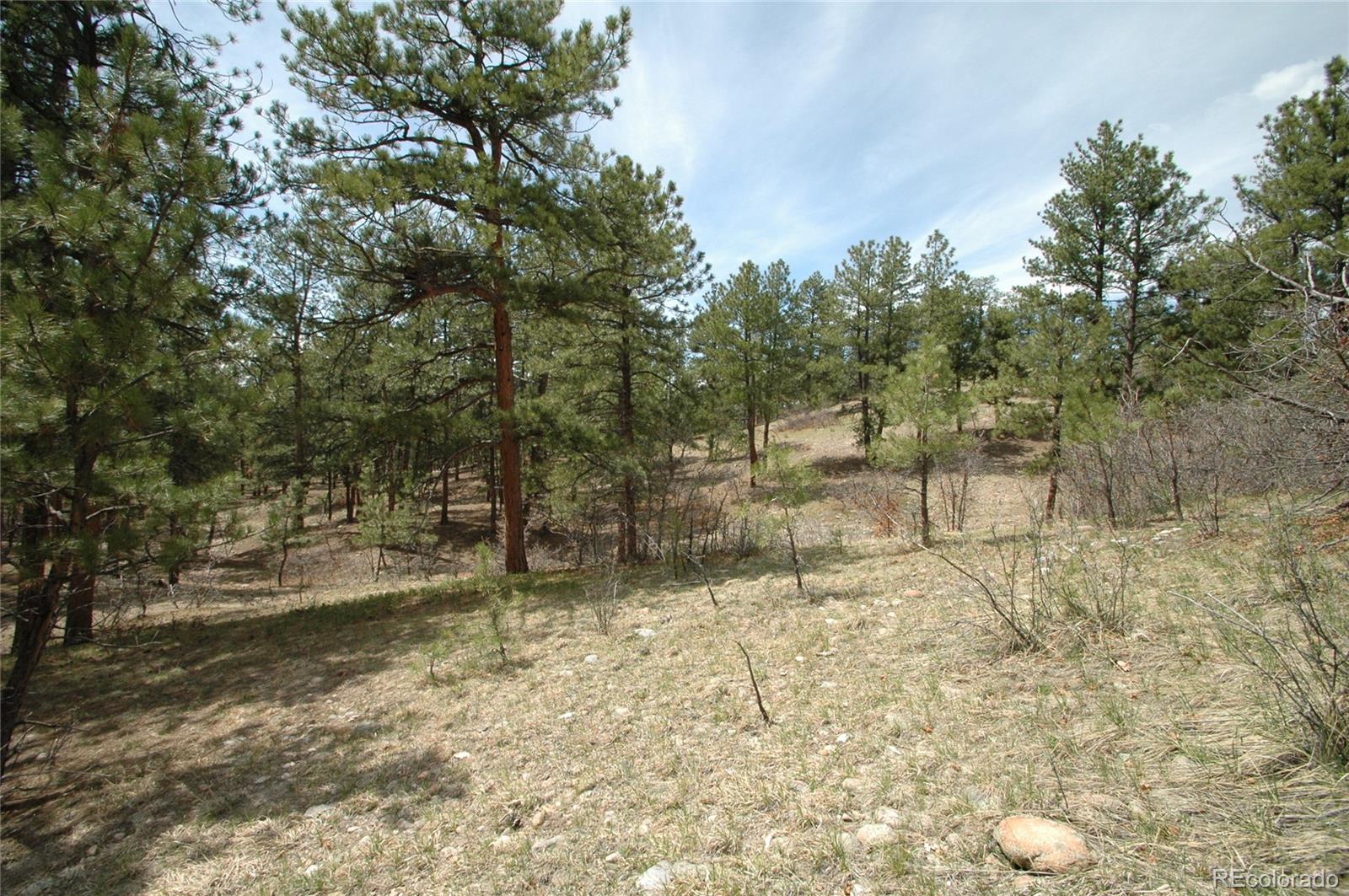 856 Woodridge Road Franktown CO 80116