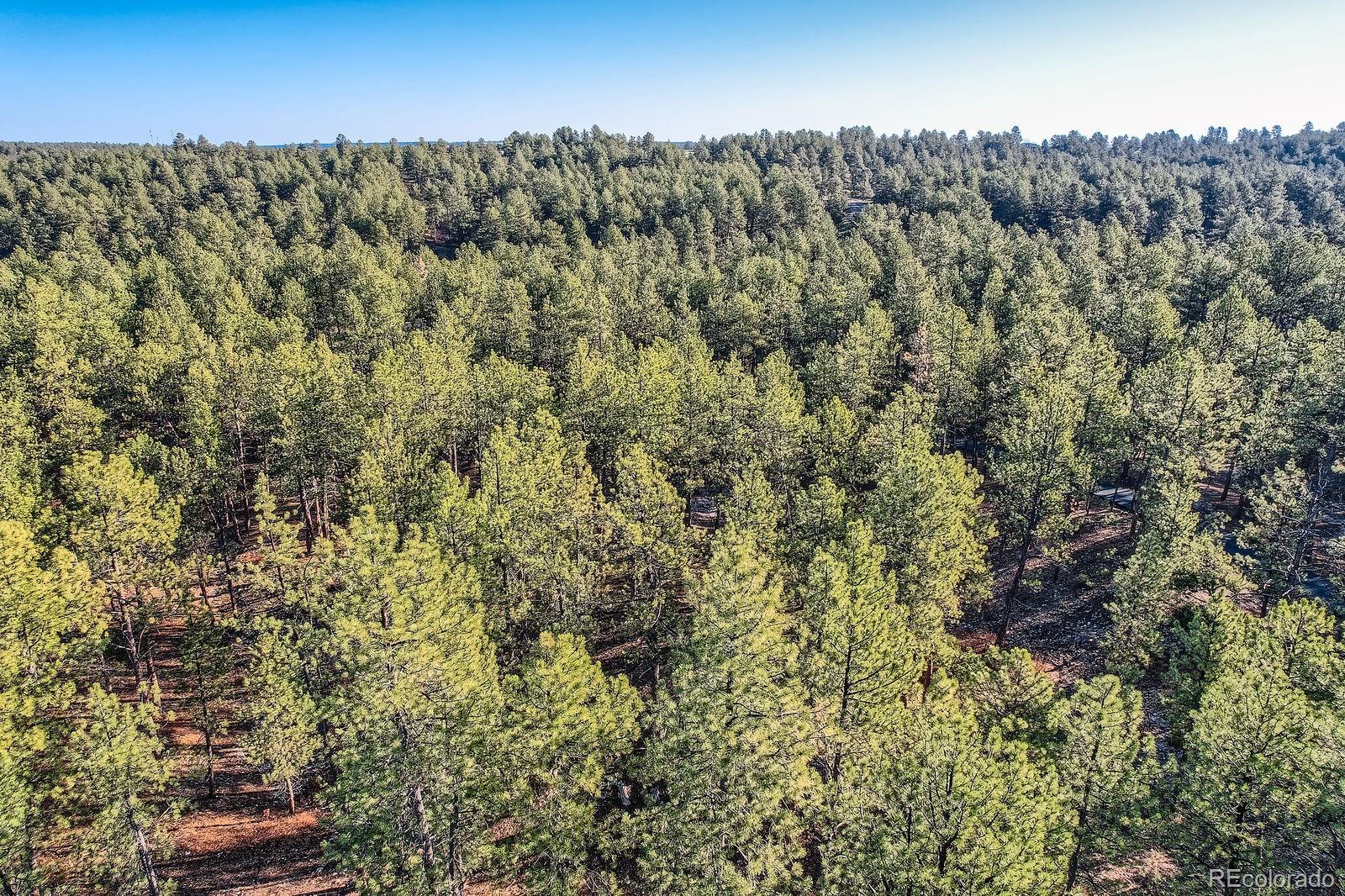 856 Woodridge Road Franktown CO 80116