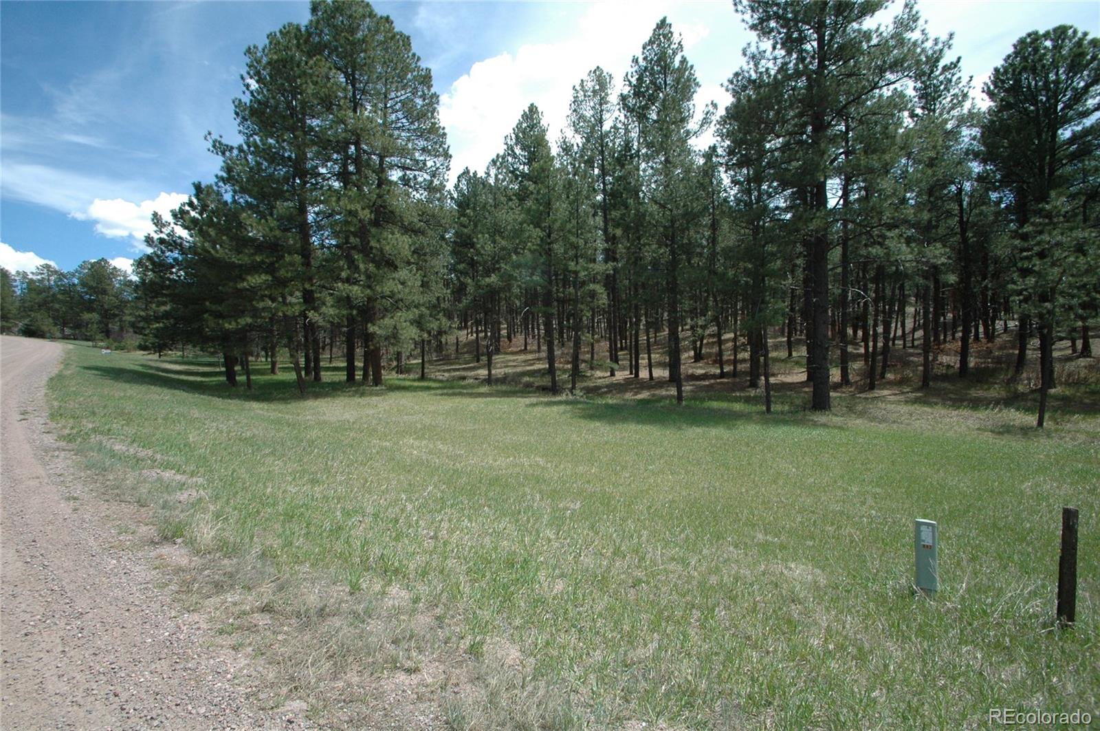 856 Woodridge Road Franktown CO 80116