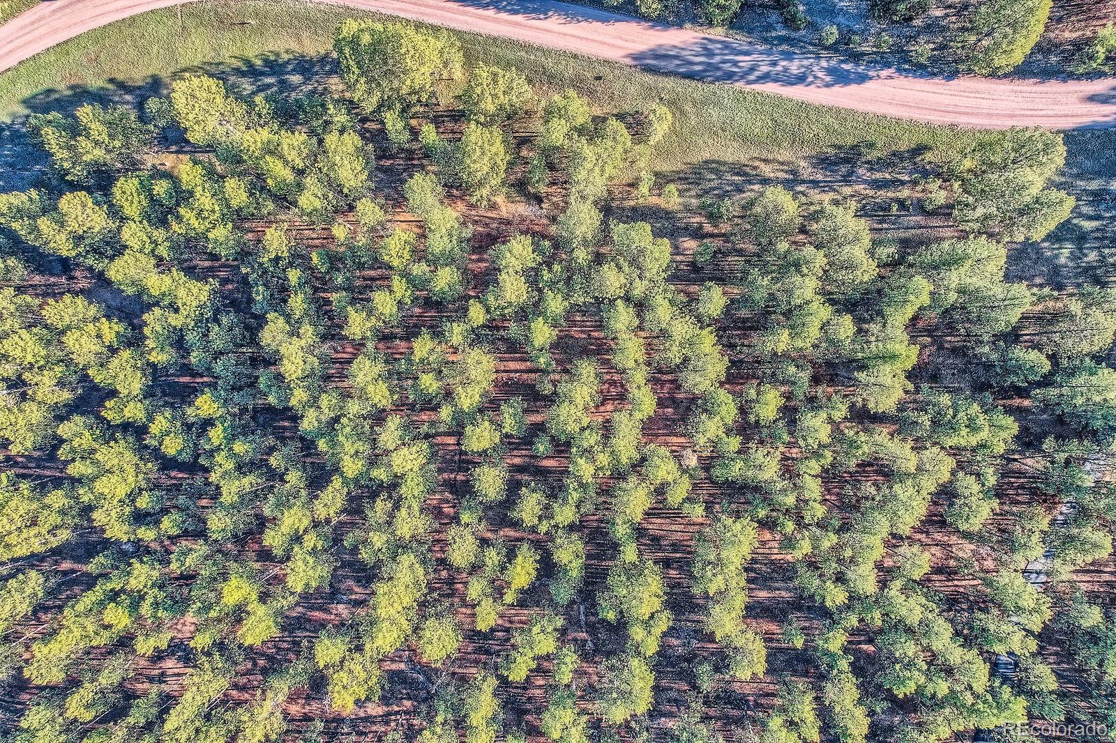 856 Woodridge Road Franktown CO 80116