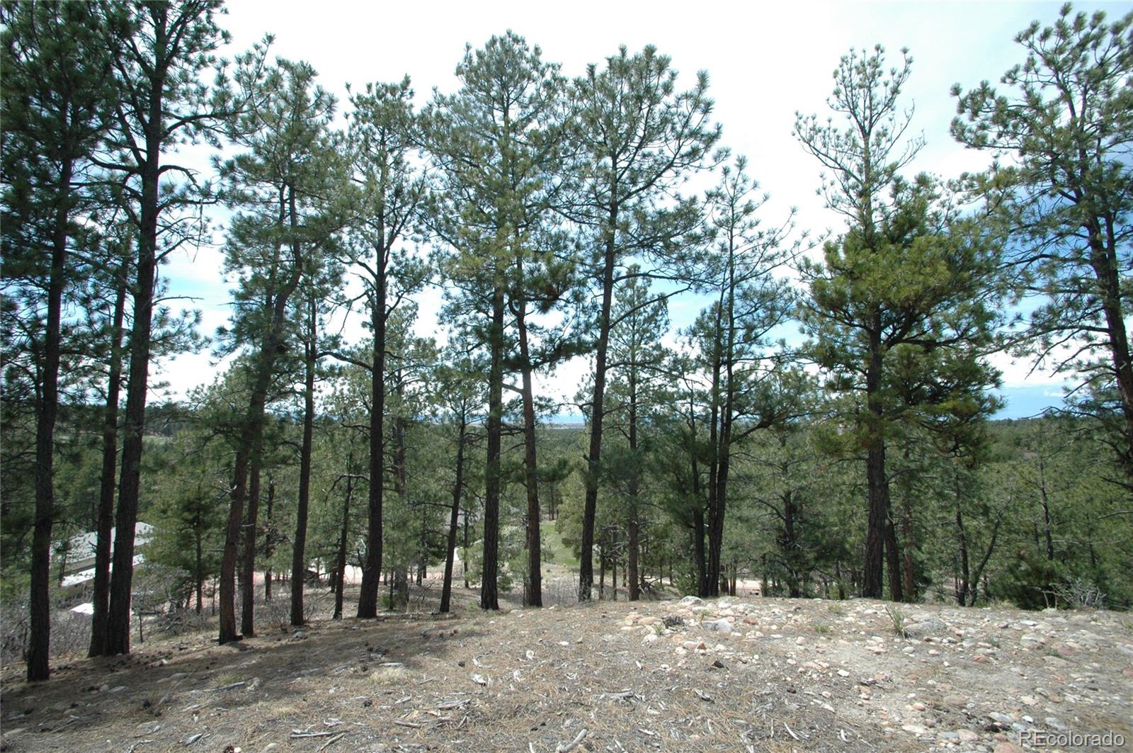 856 Woodridge Road Franktown CO 80116