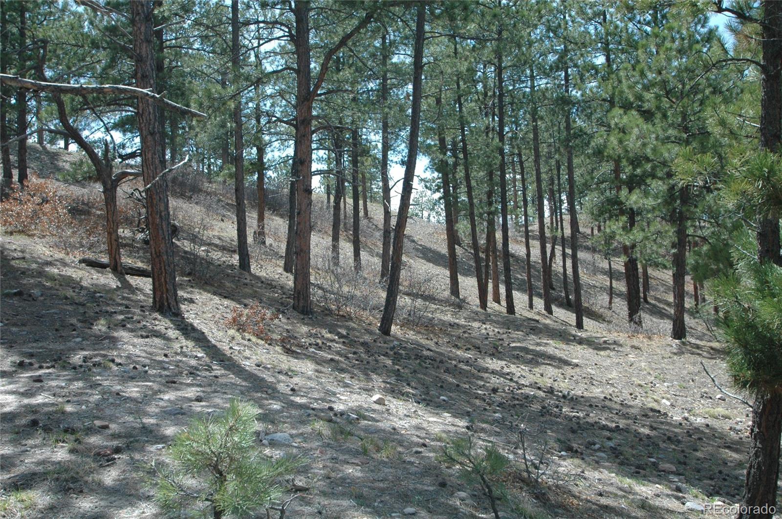 856 Woodridge Road Franktown CO 80116