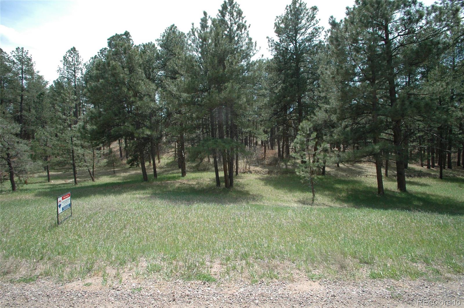 856 Woodridge Road Franktown CO 80116