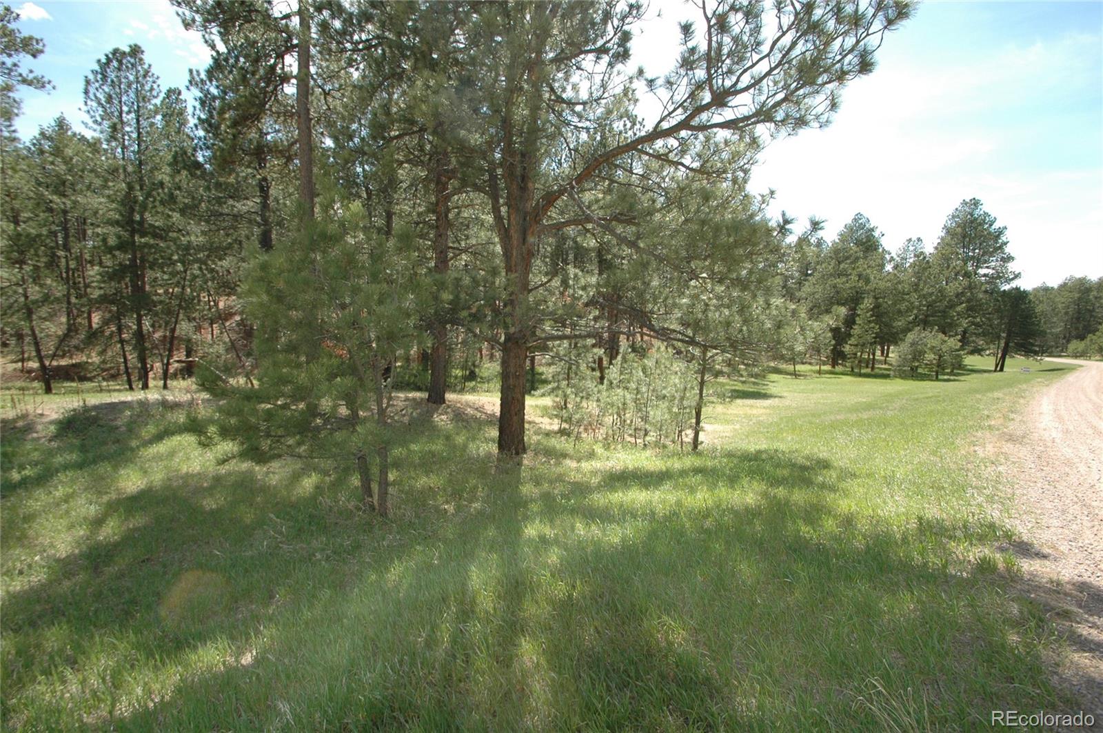 856 Woodridge Road Franktown CO 80116