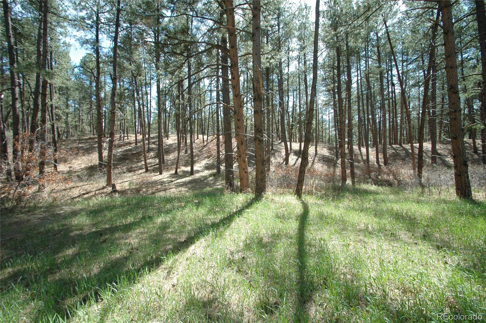 856 Woodridge Road Franktown CO 80116