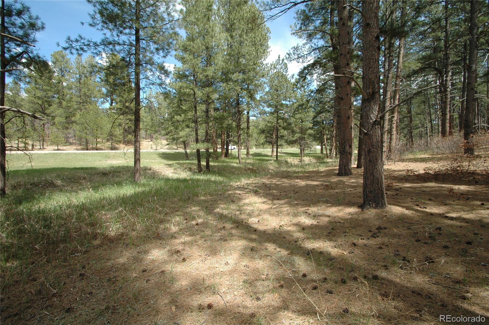 856 Woodridge Road Franktown CO 80116