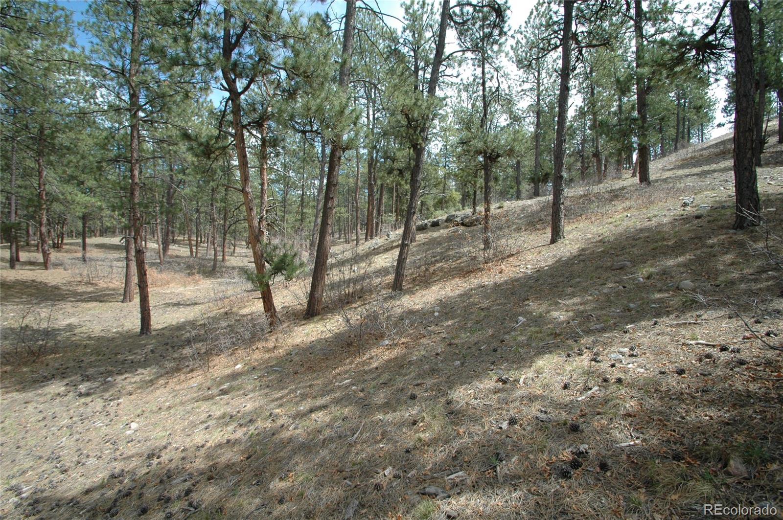 856 Woodridge Road Franktown CO 80116