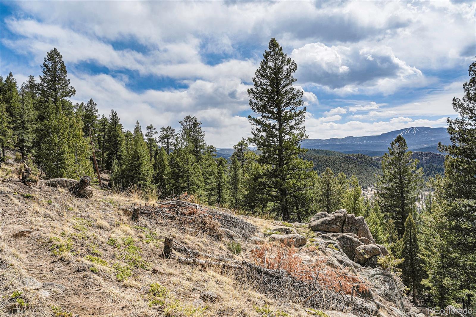 25925 Lost Cabin Trail Evergreen CO 80439