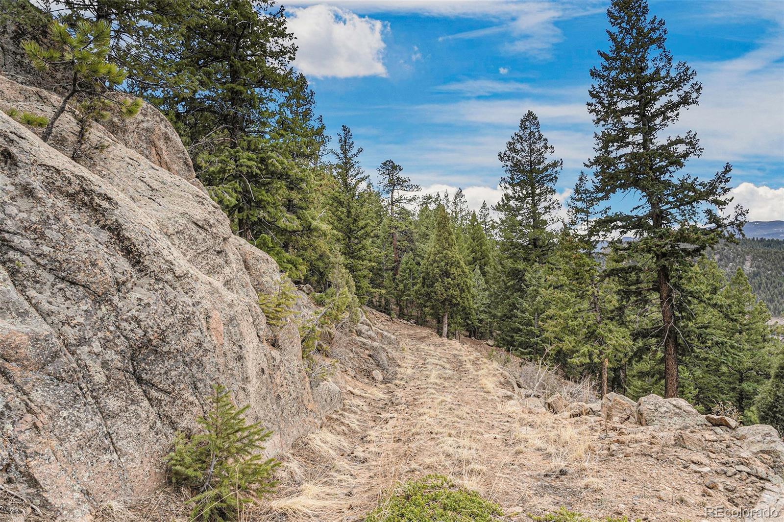 25925 Lost Cabin Trail Evergreen CO 80439