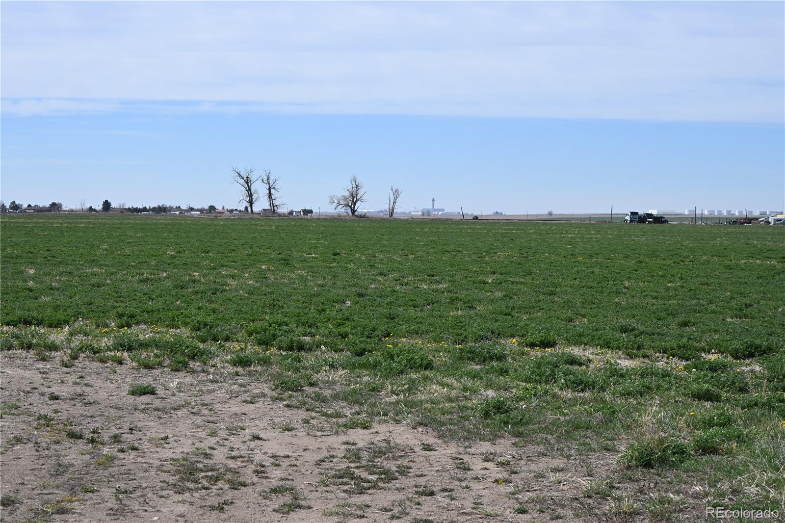 13955 Lanewood Street Brighton CO 80603
