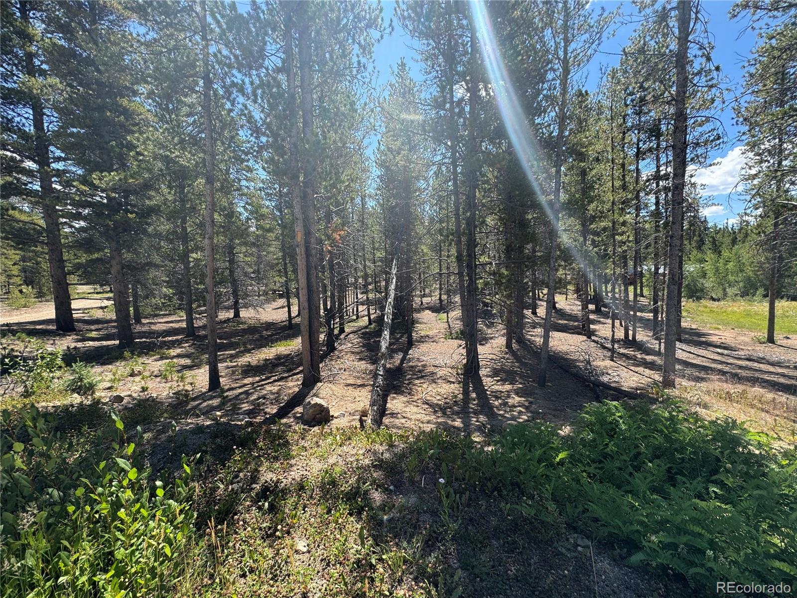 334 Baby Doe Drive Leadville CO 80461