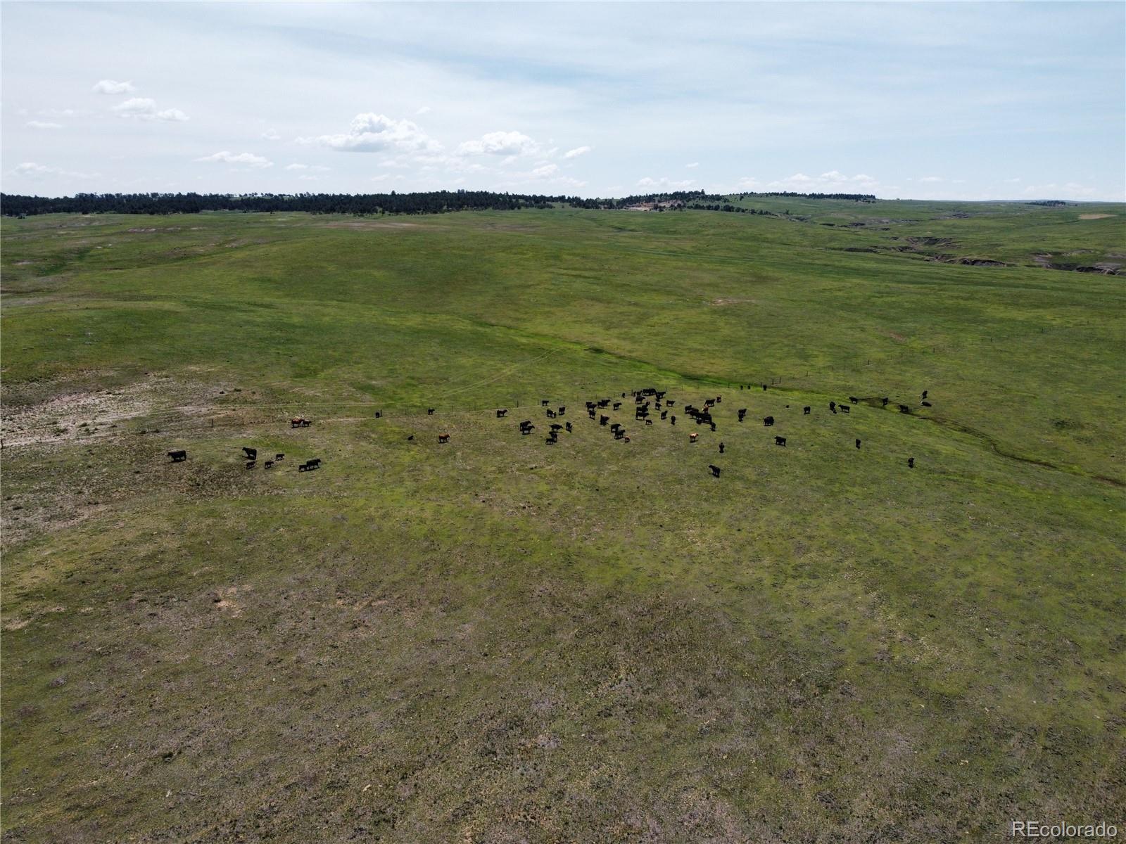 Lot 8 County Road 77 Calhan CO 80808