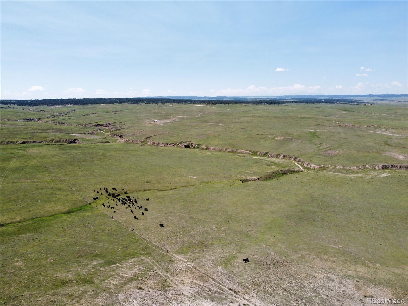 Lot 8 County Road 77 Calhan CO 80808