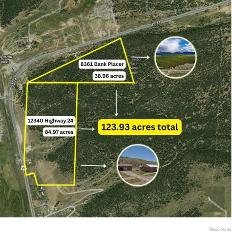 8361 Bank Placer Leadville CO 80461