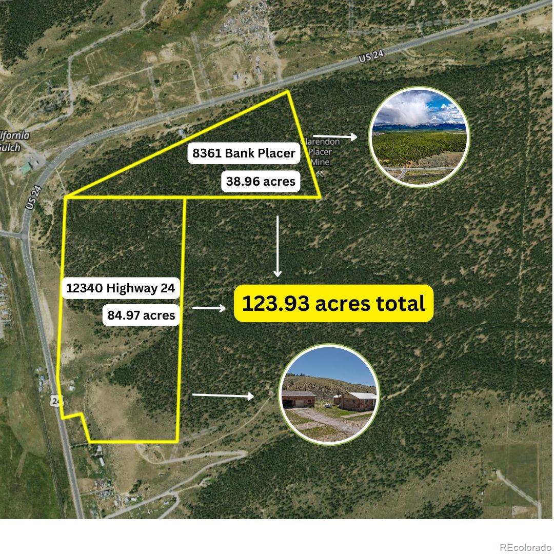 8361 Bank Placer Leadville CO 80461
