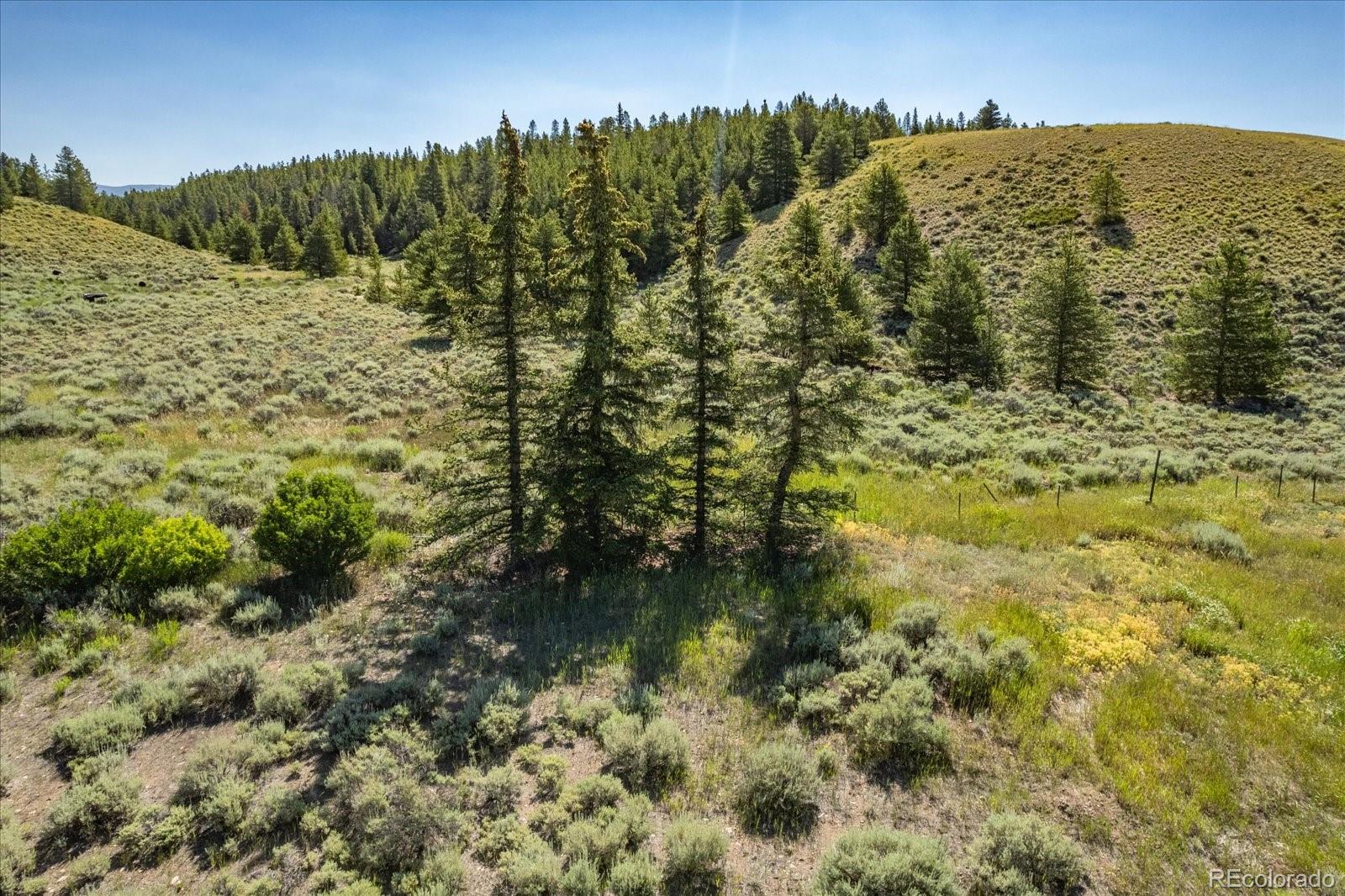 8361 Bank Placer Leadville CO 80461