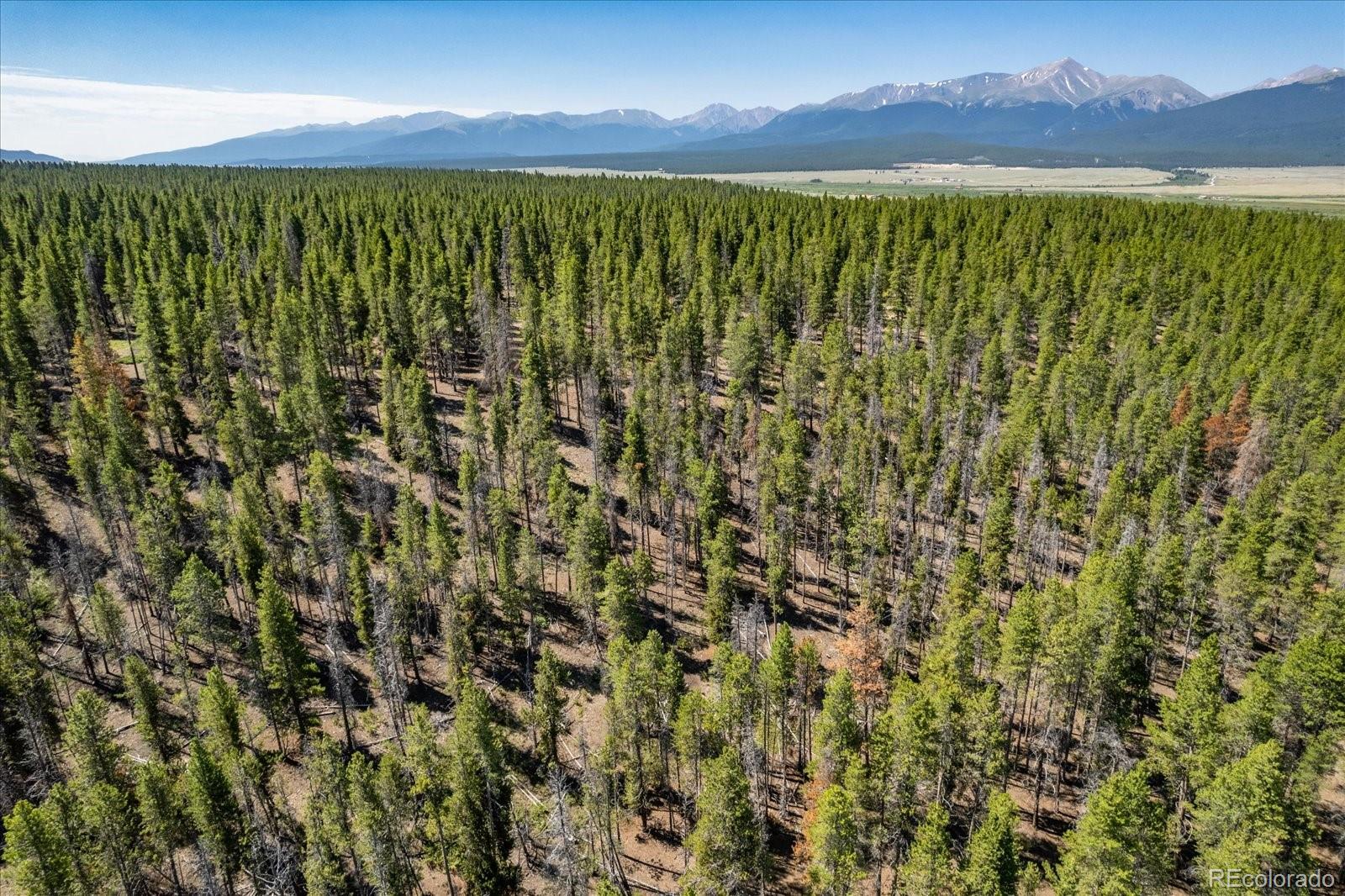 8361 Bank Placer Leadville CO 80461