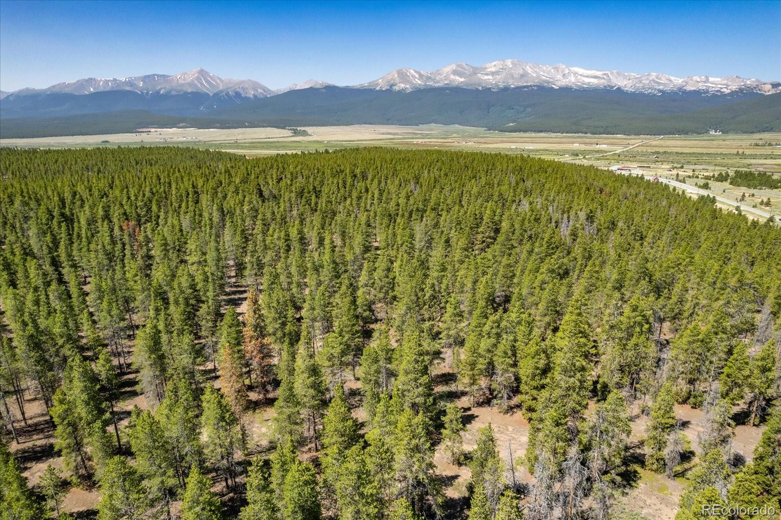 8361 Bank Placer Leadville CO 80461