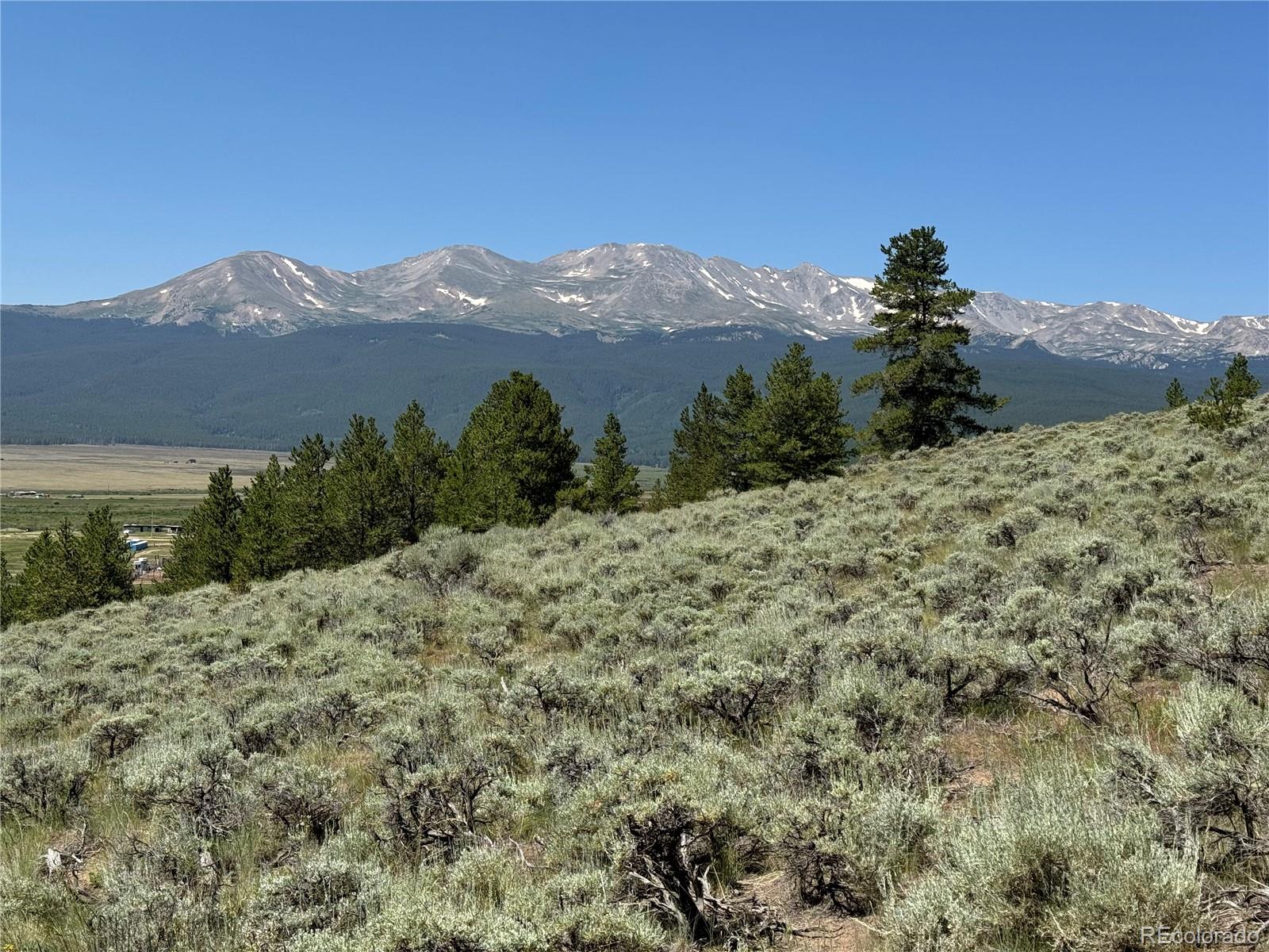 8361 Bank Placer Leadville CO 80461