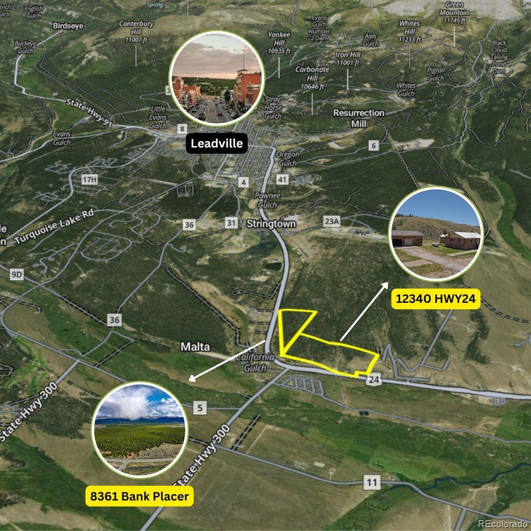 8361 Bank Placer Leadville CO 80461