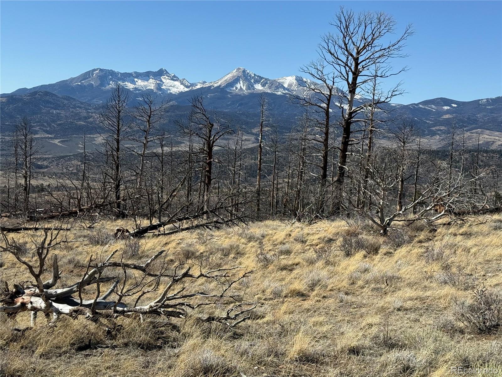 Lot 385 Soubry Place Fort Garland CO 81133