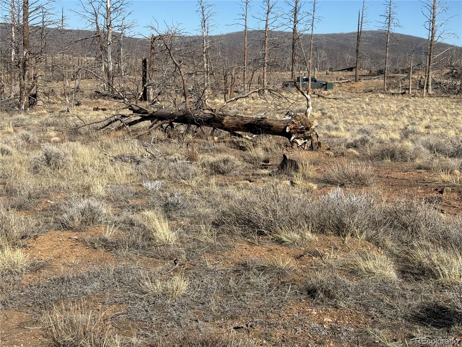Lot 385 Soubry Place Fort Garland CO 81133